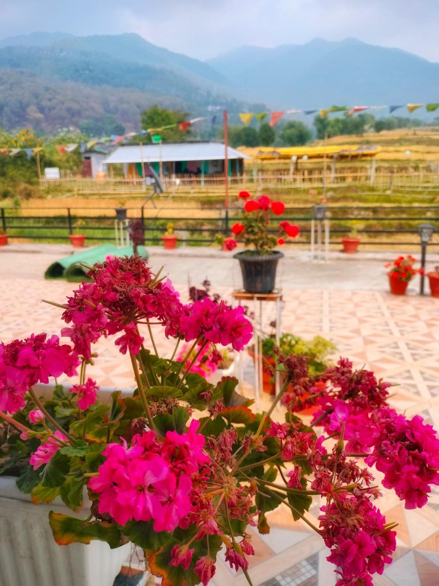 Raahi Stay, Landing Site Bir - Stay & Cafe المظهر الخارجي الصورة